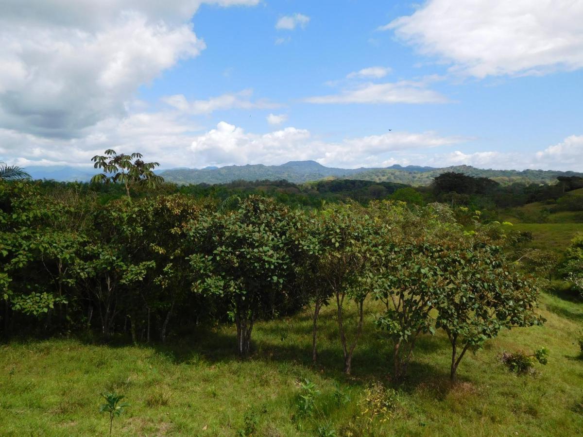 Hostal Casa Las Lajas 拉斯拉哈斯 外观 照片
