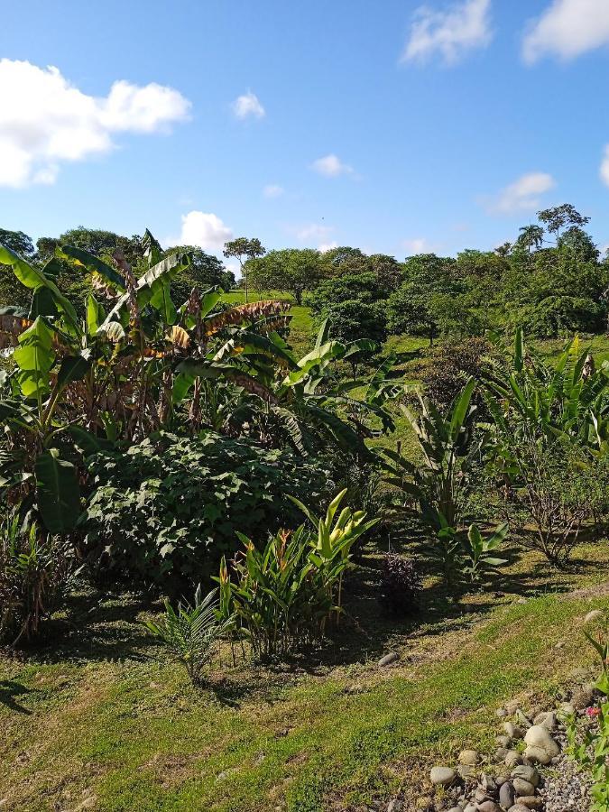 Hostal Casa Las Lajas 拉斯拉哈斯 外观 照片